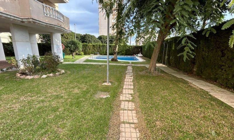 APARTAMENTO  EN ALICANTE,TORREVIEJA