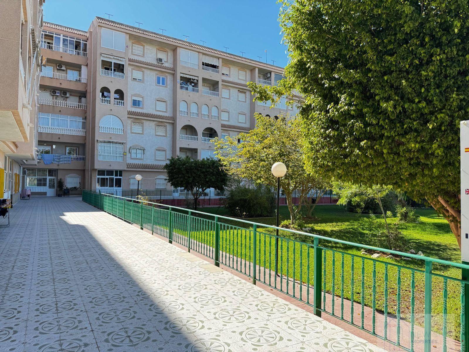 APARTAMENTO  EN ALICANTE,TORREVIEJA