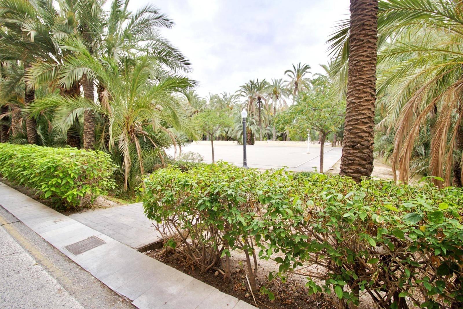 CASA  EN ALICANTE,ELCHE-ELX