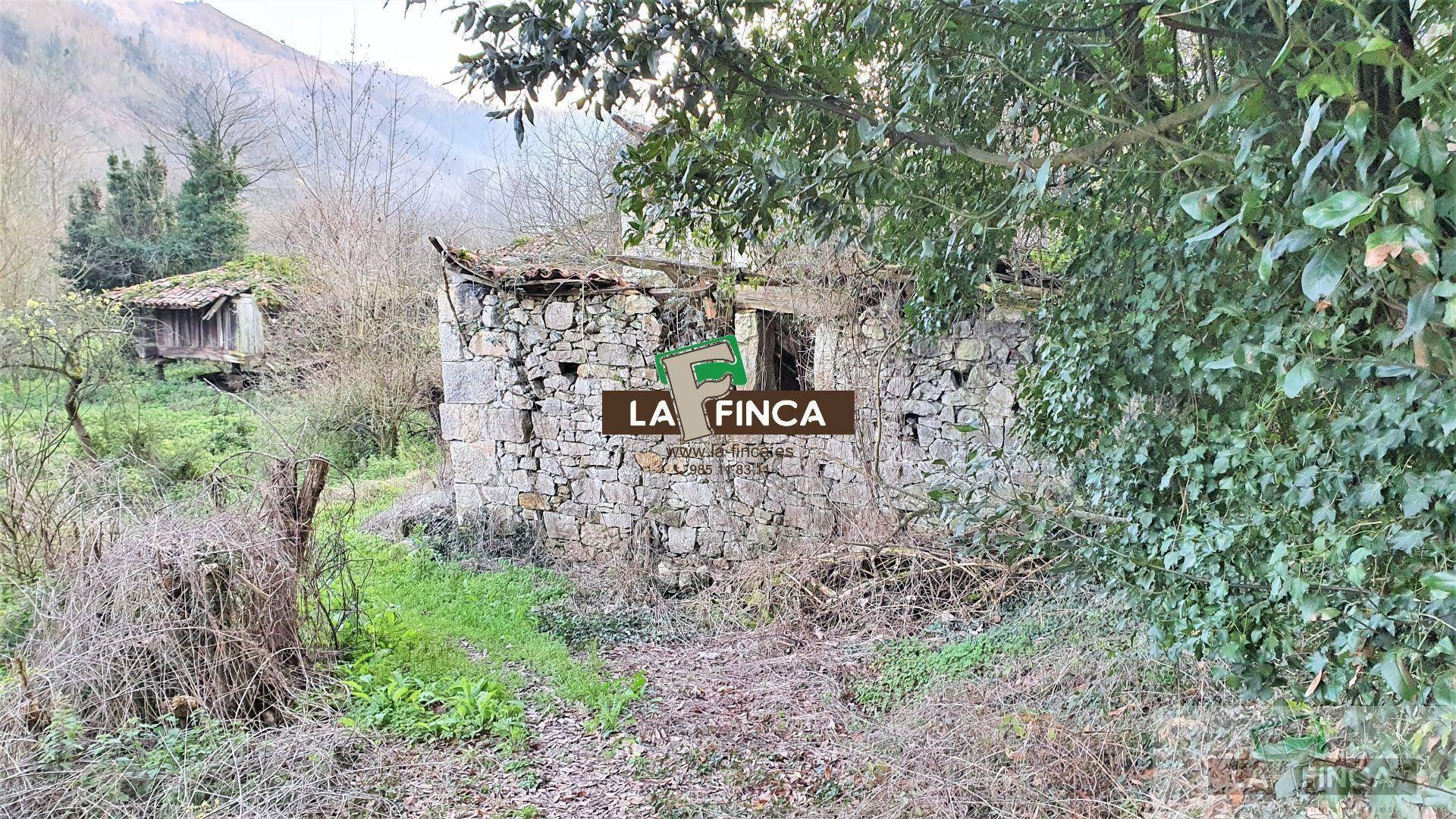 CASA  EN ASTURIAS,OVIEDO