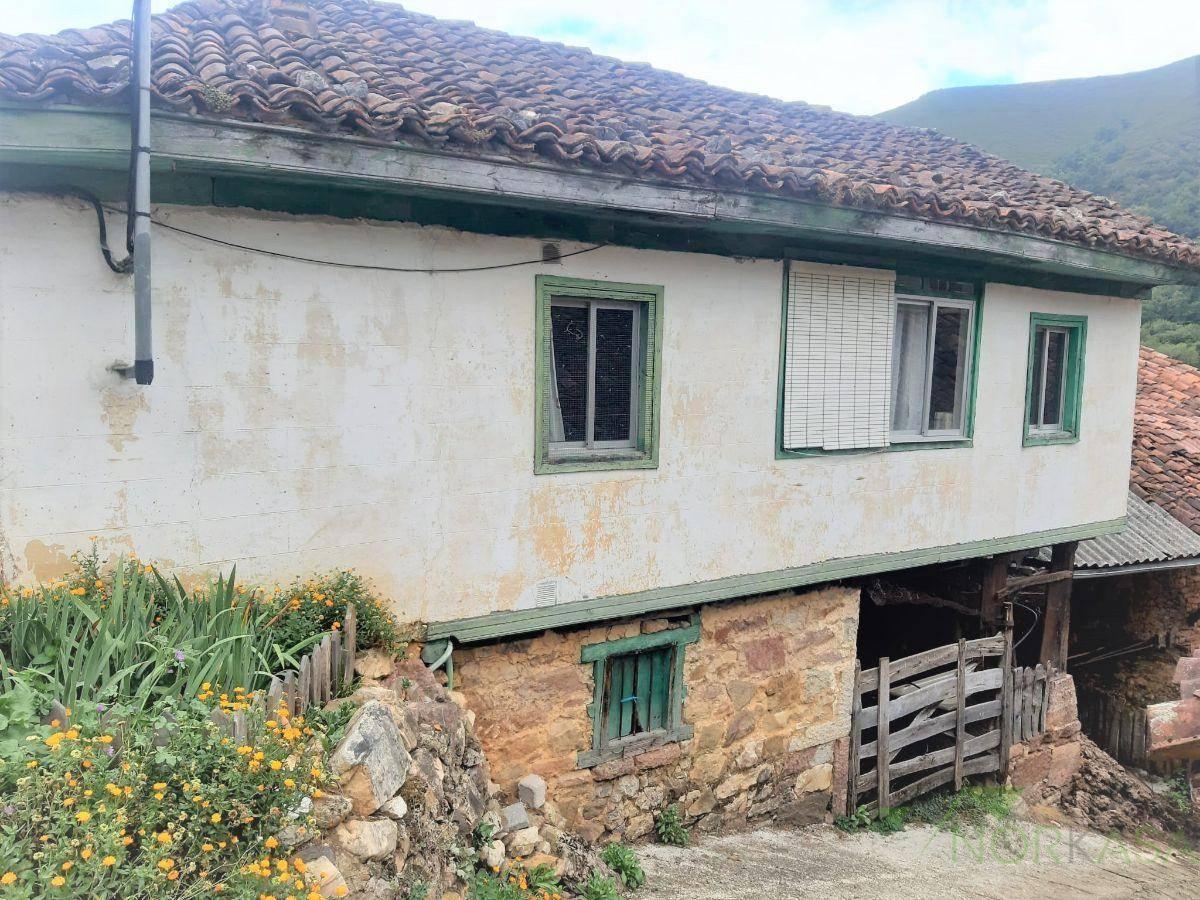 CASA  EN ASTURIAS,TEVERGA