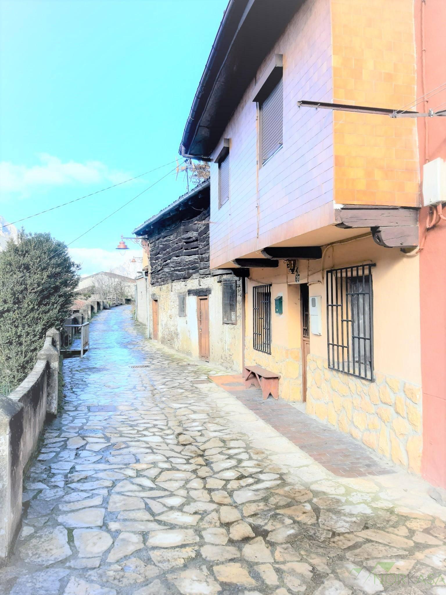 CASA PAREADO EN ASTURIAS,QUIRóS