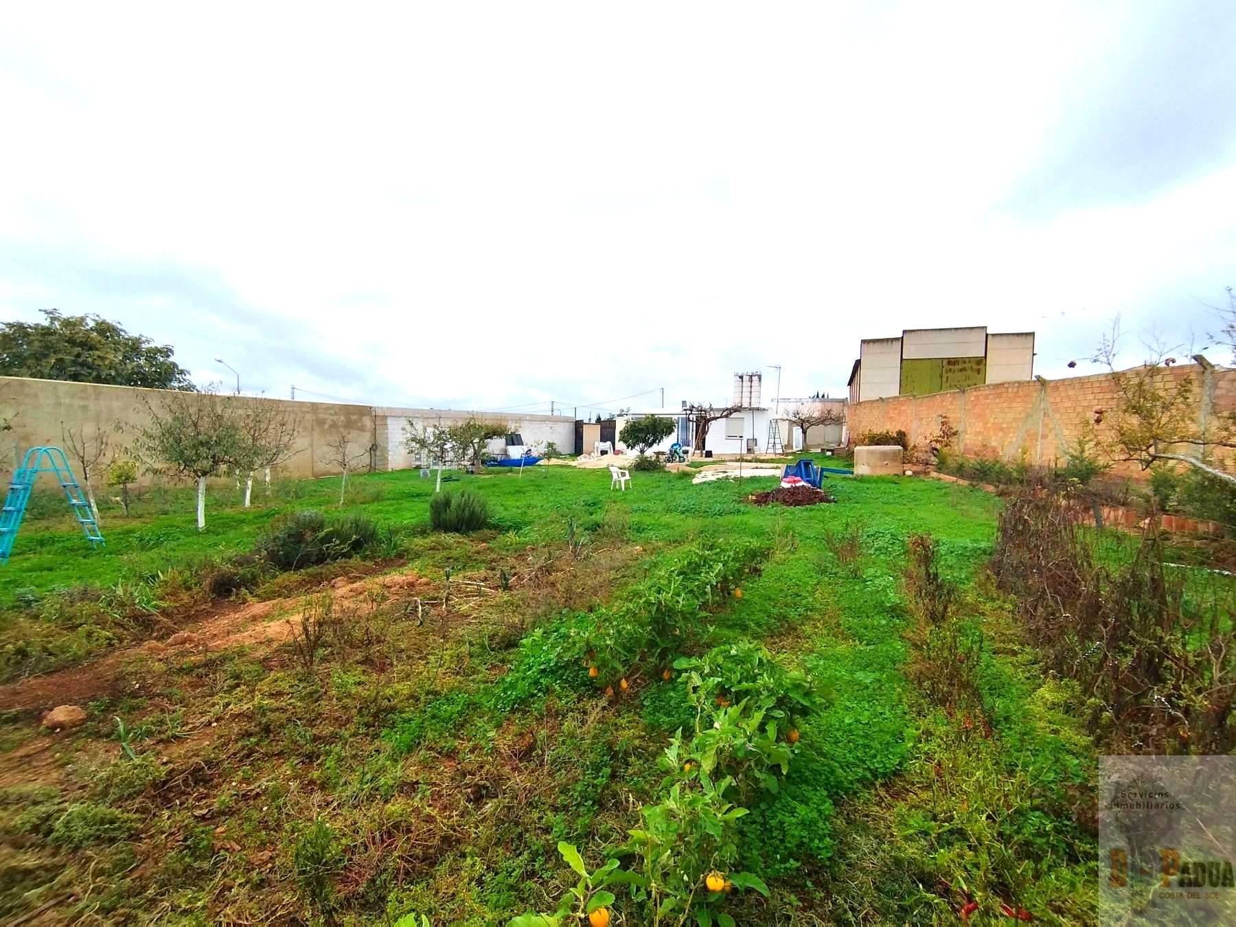 CHALET FINCA RUSTICA EN MáLAGA,CAMPILLOS