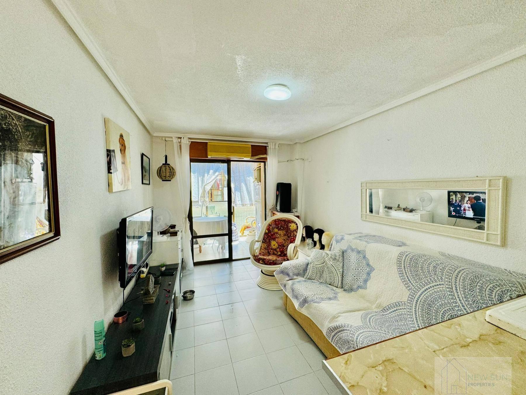 ESTUDIO  EN ALICANTE,TORREVIEJA