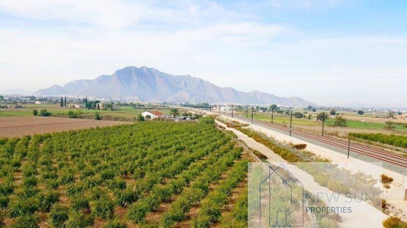 FINCA RUSTICA  EN ALICANTE,CALLOSA DE SEGURA