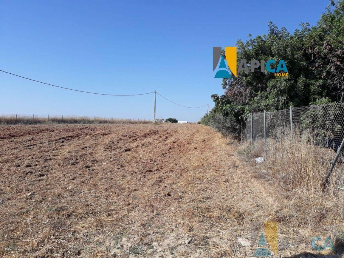 FINCA RúSTICA  EN CáDIZ,CHICLANA DE LA FRONTERA