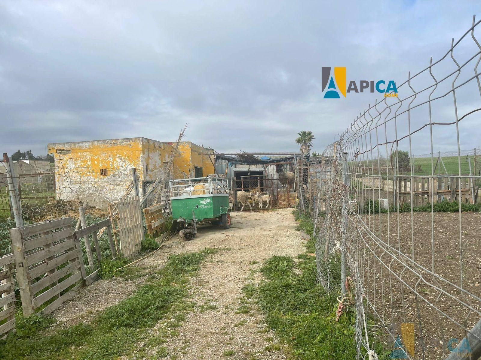 FINCA RúSTICA  EN CáDIZ,CHICLANA DE LA FRONTERA