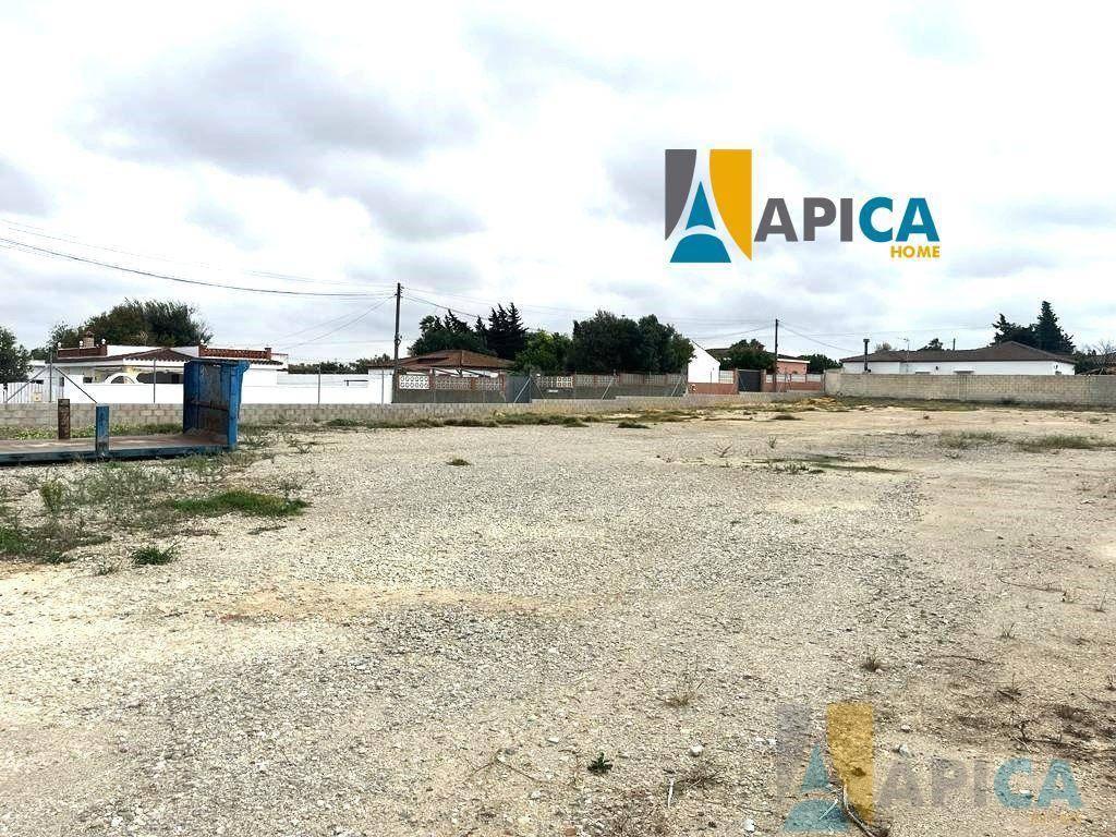 FINCA RúSTICA  EN CáDIZ,CHICLANA DE LA FRONTERA