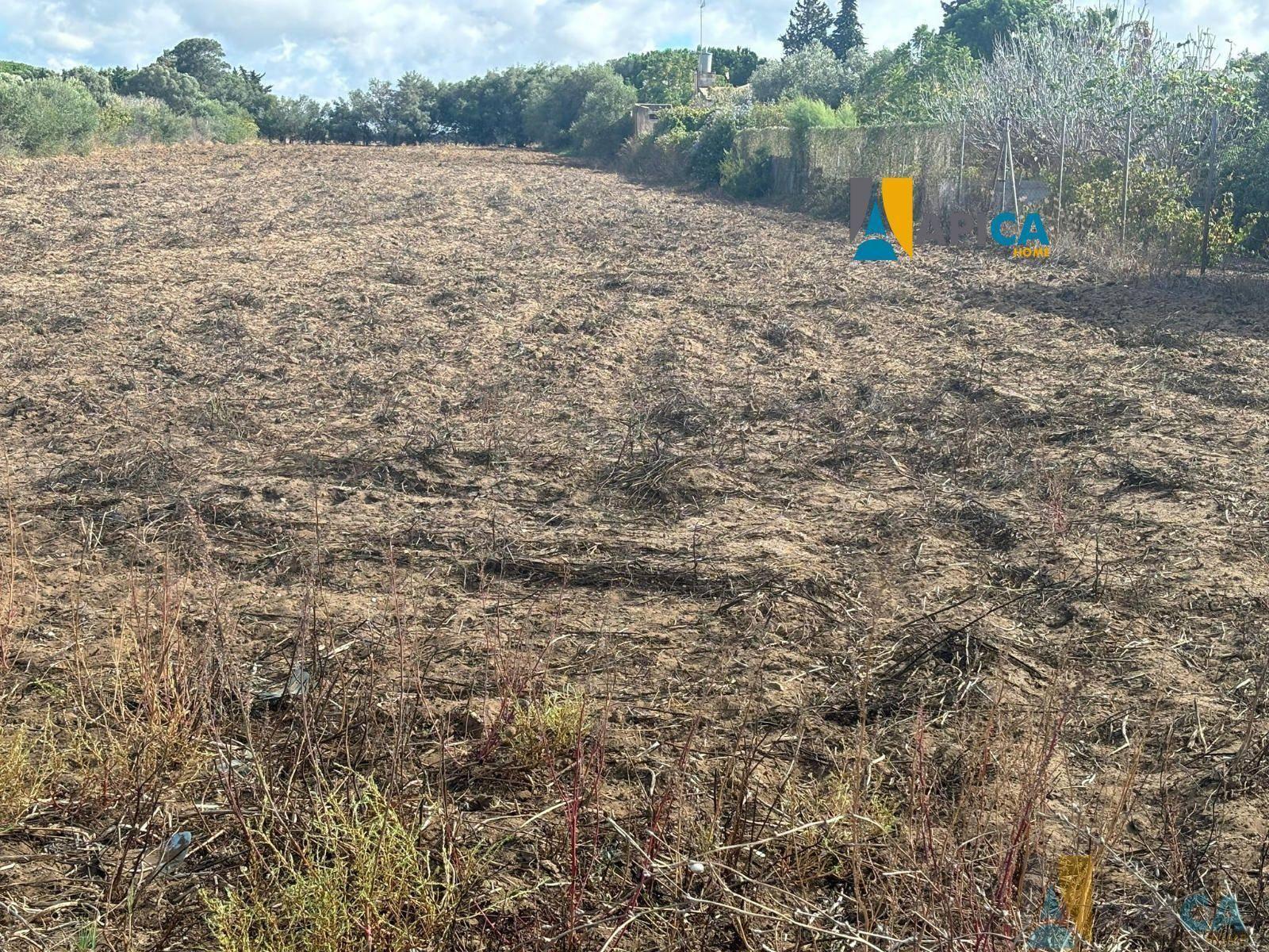 FINCA RúSTICA  EN CáDIZ,CHICLANA DE LA FRONTERA