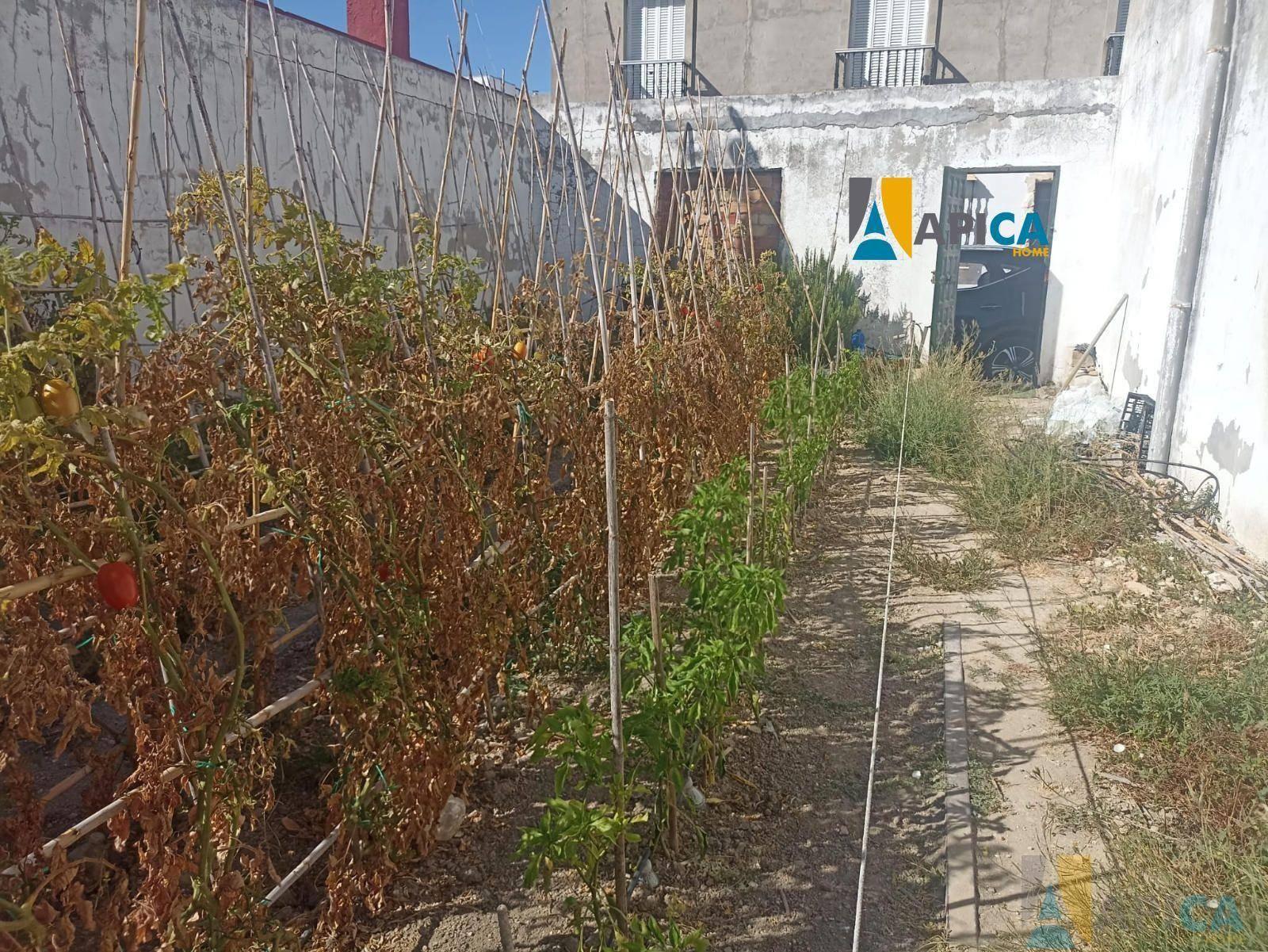 FINCA RúSTICA  EN CáDIZ,CHICLANA DE LA FRONTERA
