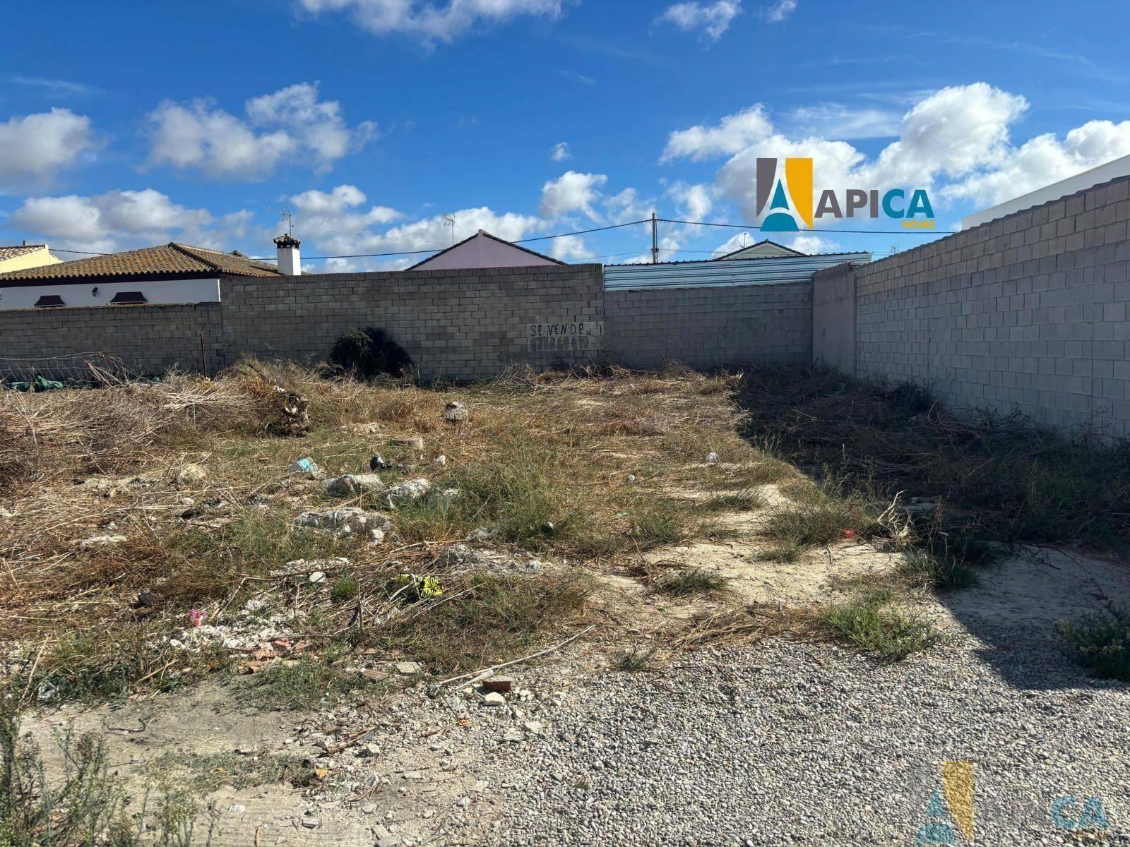 FINCA RúSTICA  EN CáDIZ,CHICLANA DE LA FRONTERA