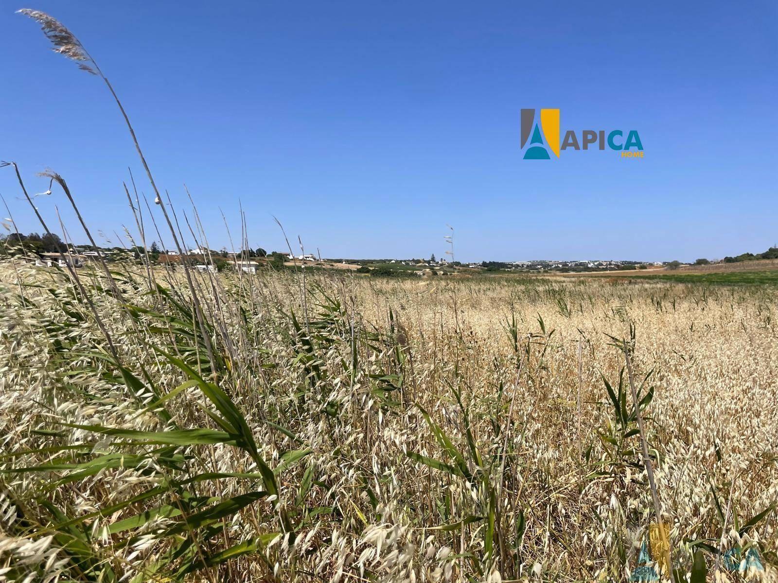 FINCA RúSTICA  EN CáDIZ,CONIL