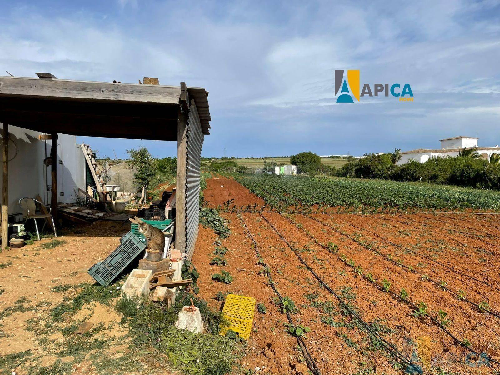 FINCA RúSTICA  EN CáDIZ,CONIL