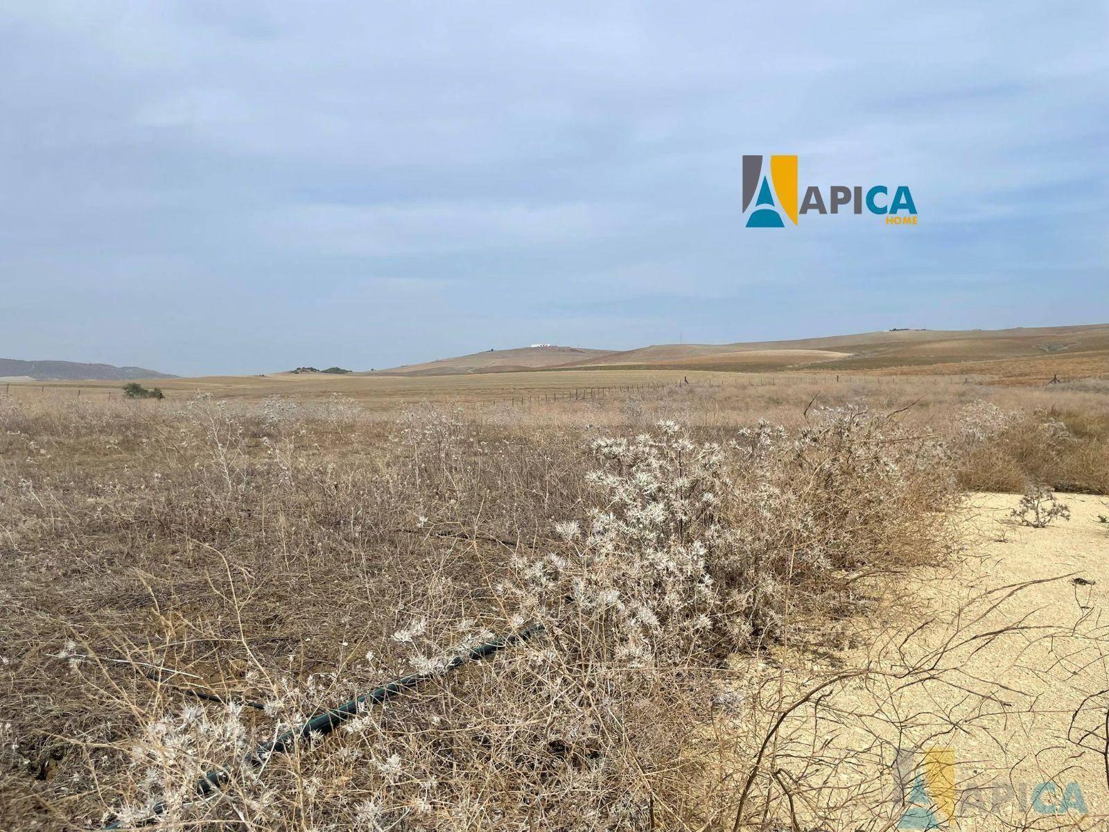 FINCA RúSTICA  EN CáDIZ,EL PALMAR