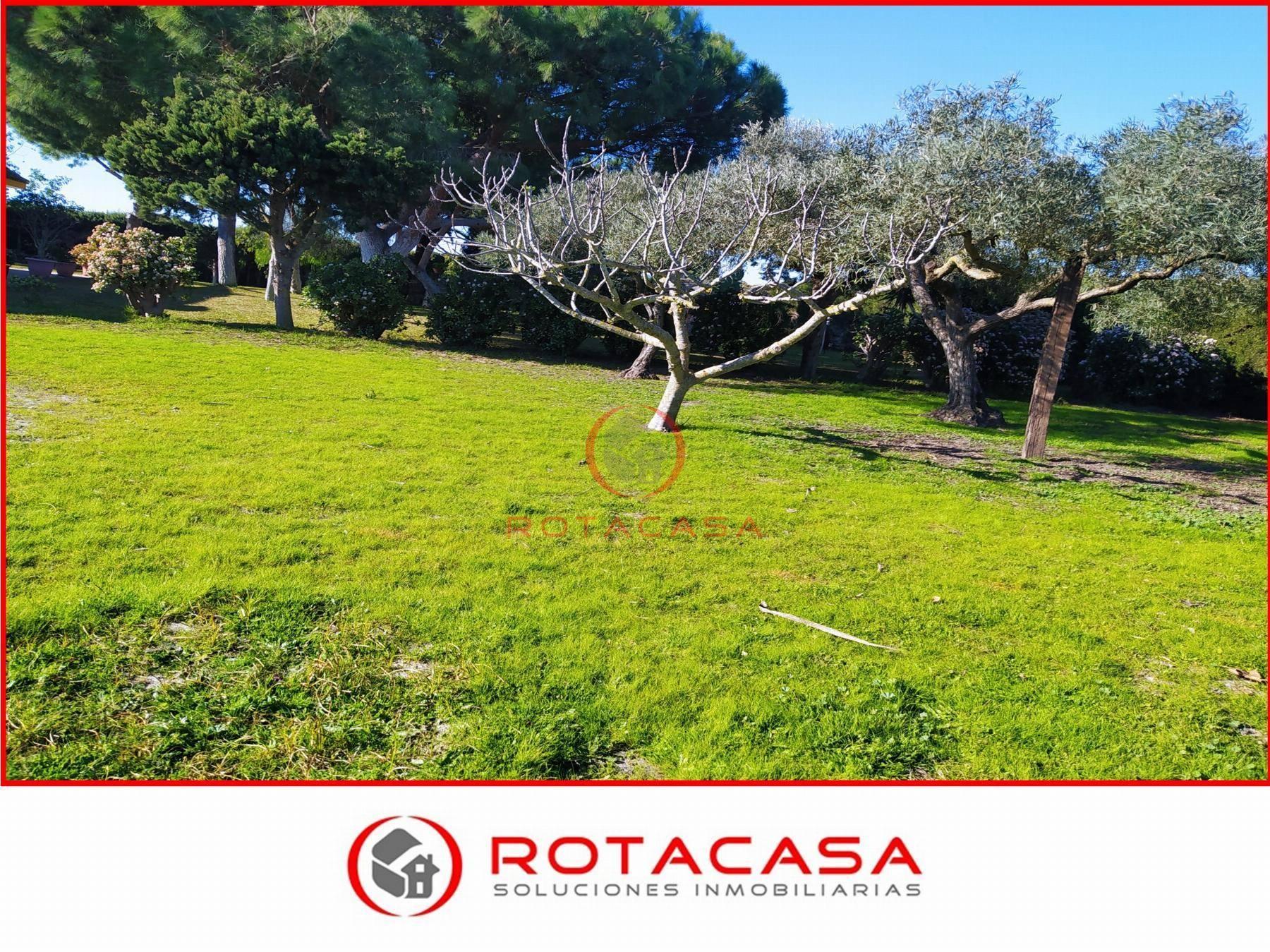 FINCA RUSTICA  EN CáDIZ,ROTA
