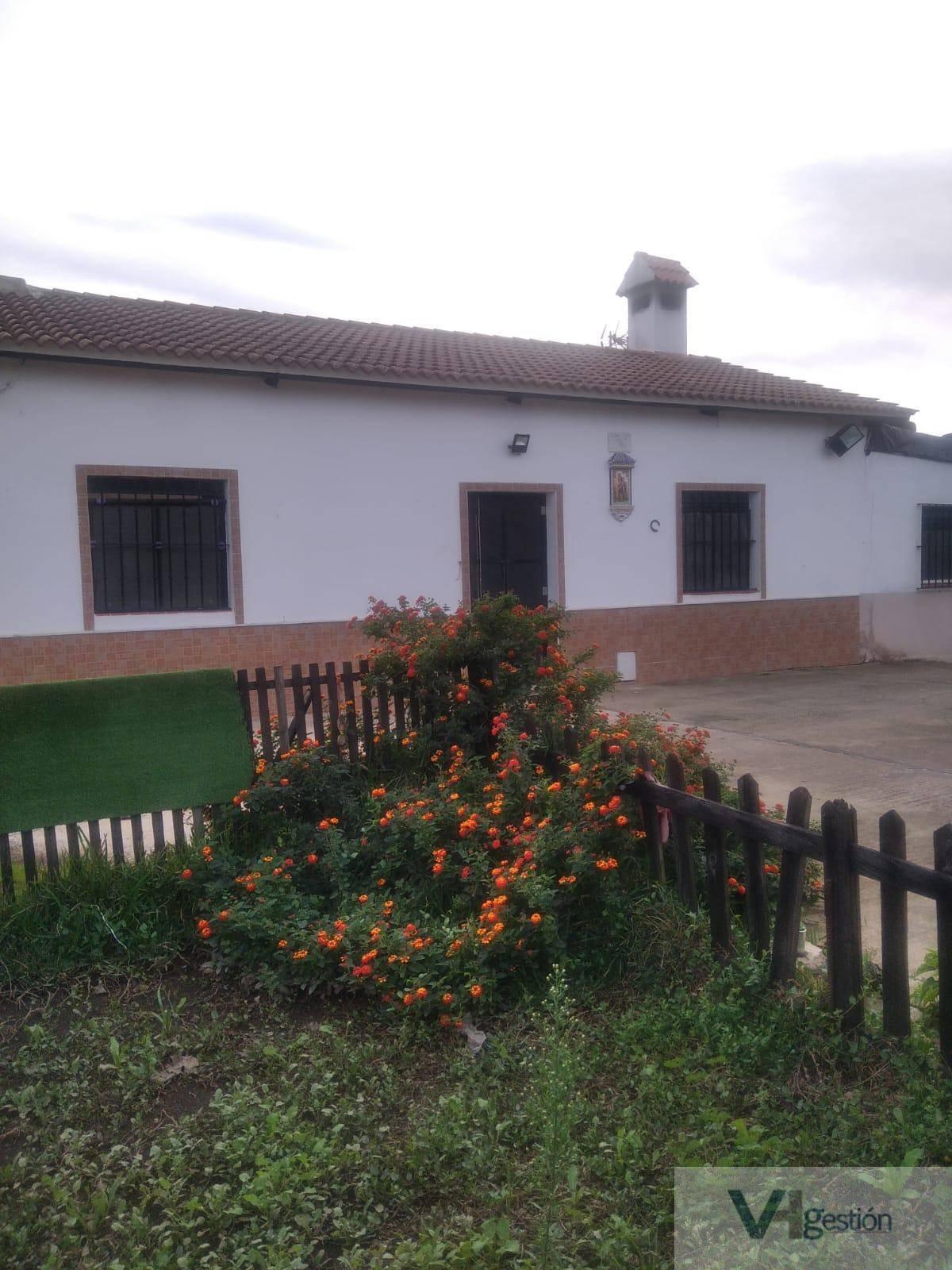 FINCA RUSTICA  EN CáDIZ,VILLAMARTíN