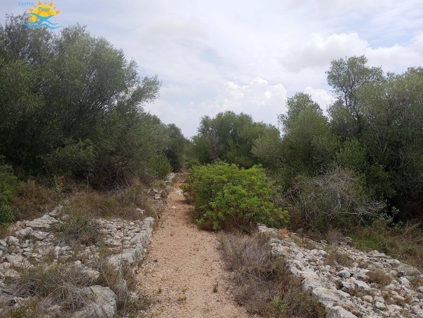 FINCA RUSTICA  EN CASTELLóN,CàLIG