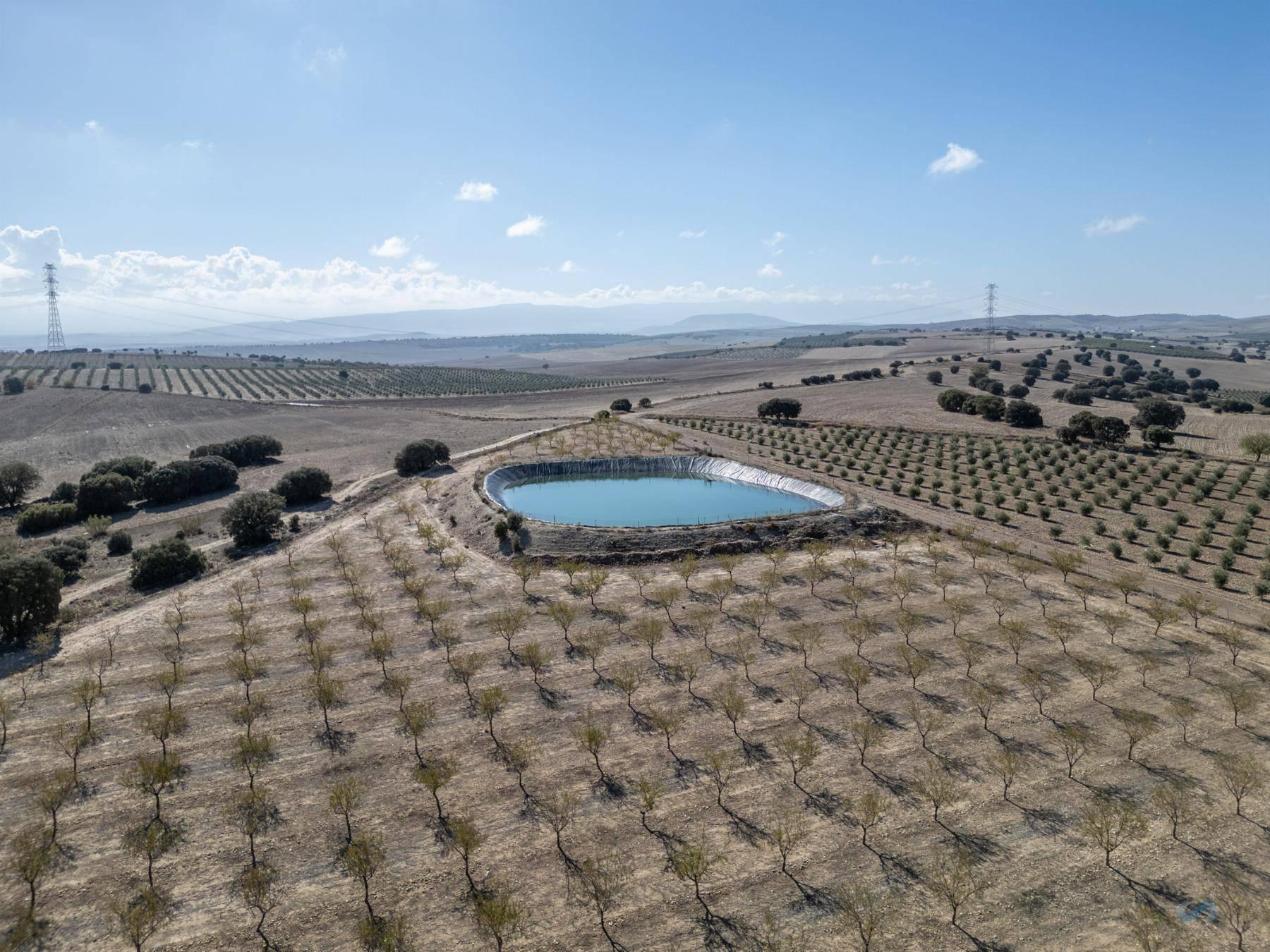 FINCA RUSTICA  EN GRANADA,ALAMEDILLA