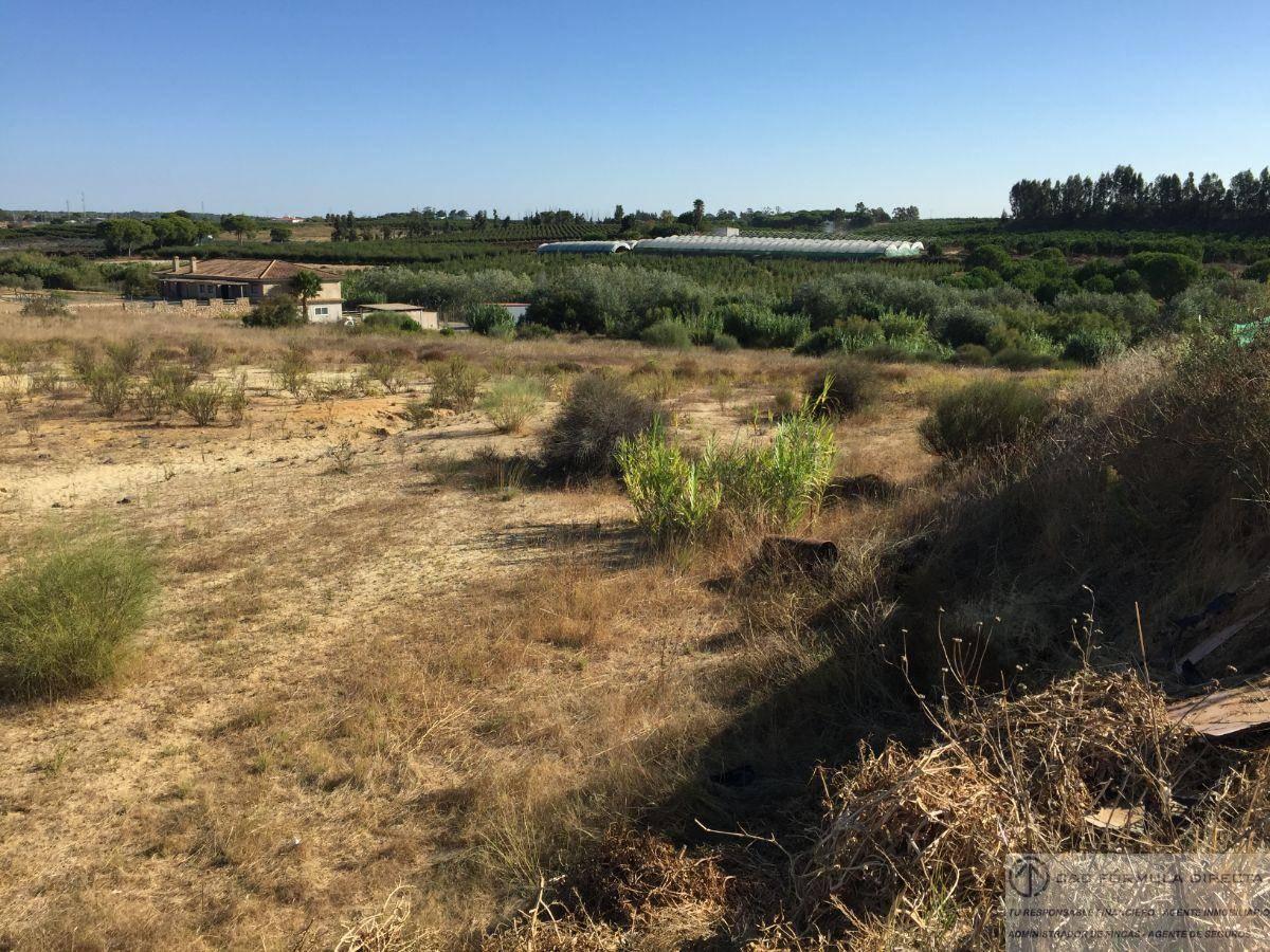 FINCA RUSTICA  EN HUELVA,CARTAYA