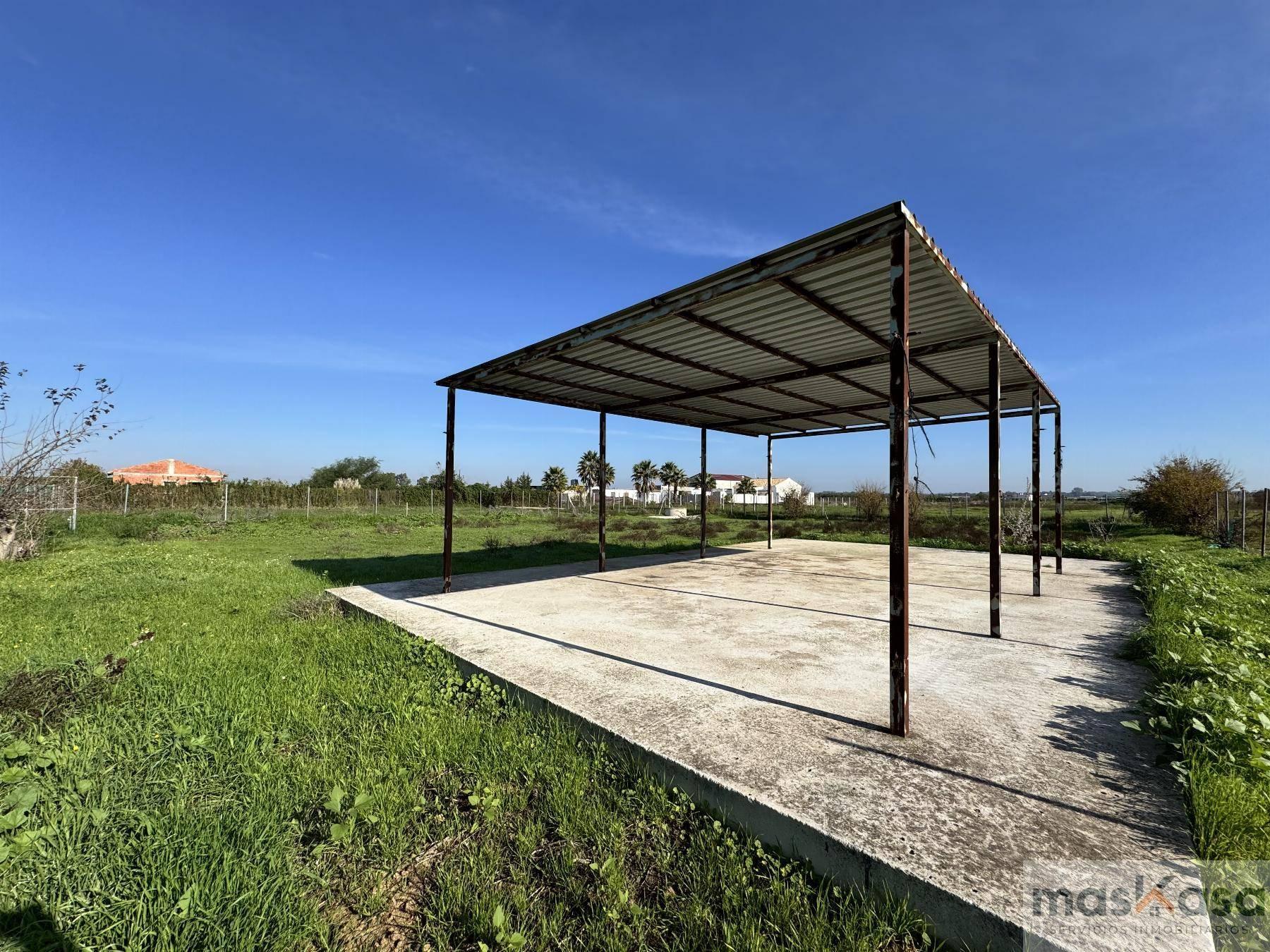 FINCA RUSTICA FINCA RUSTICA EN SEVILLA,LOS PALACIOS Y VILLAFRANCA