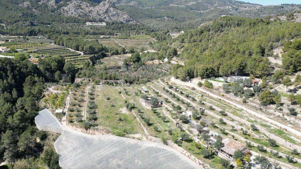 FINCA RUSTICA INDEPENDIENTE EN ALICANTE,POLOP