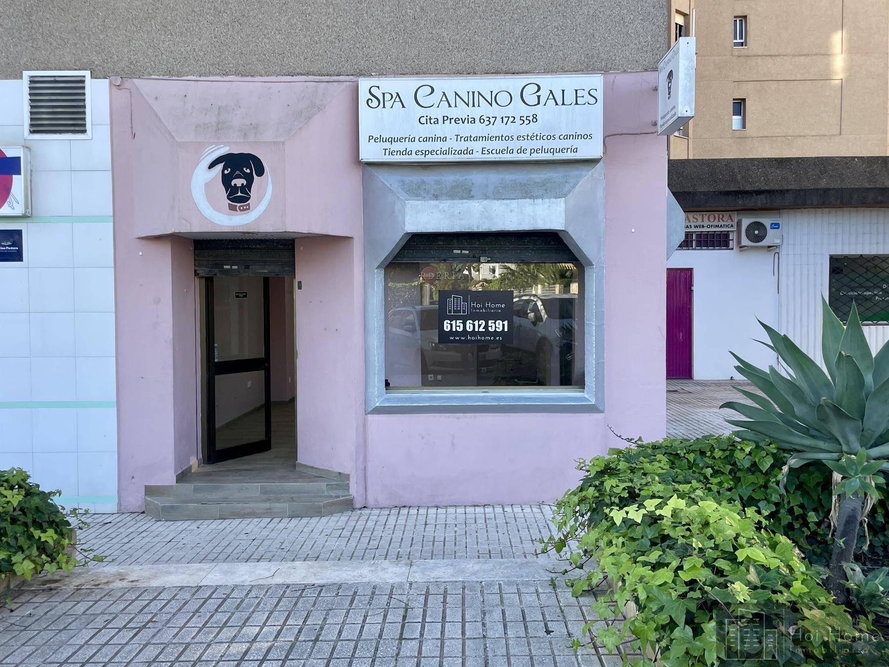 LOCAL  EN CáDIZ,JEREZ DE LA FRONTERA