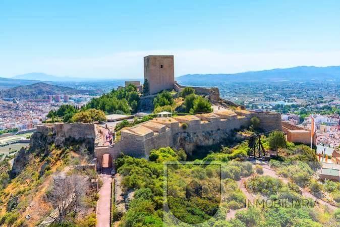 LOCAL FINCA URBANA EN MURCIA,LORCA